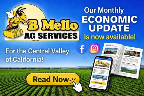 B Mello Economic Update &mdash; read it at bmelloag.com