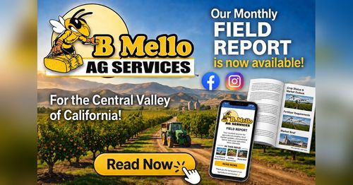 B Mello Field Report &mdash; read it at bmelloag.com