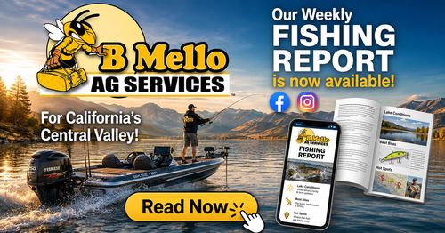 B Mello Fishing Report &mdash; read it at bmelloag.com