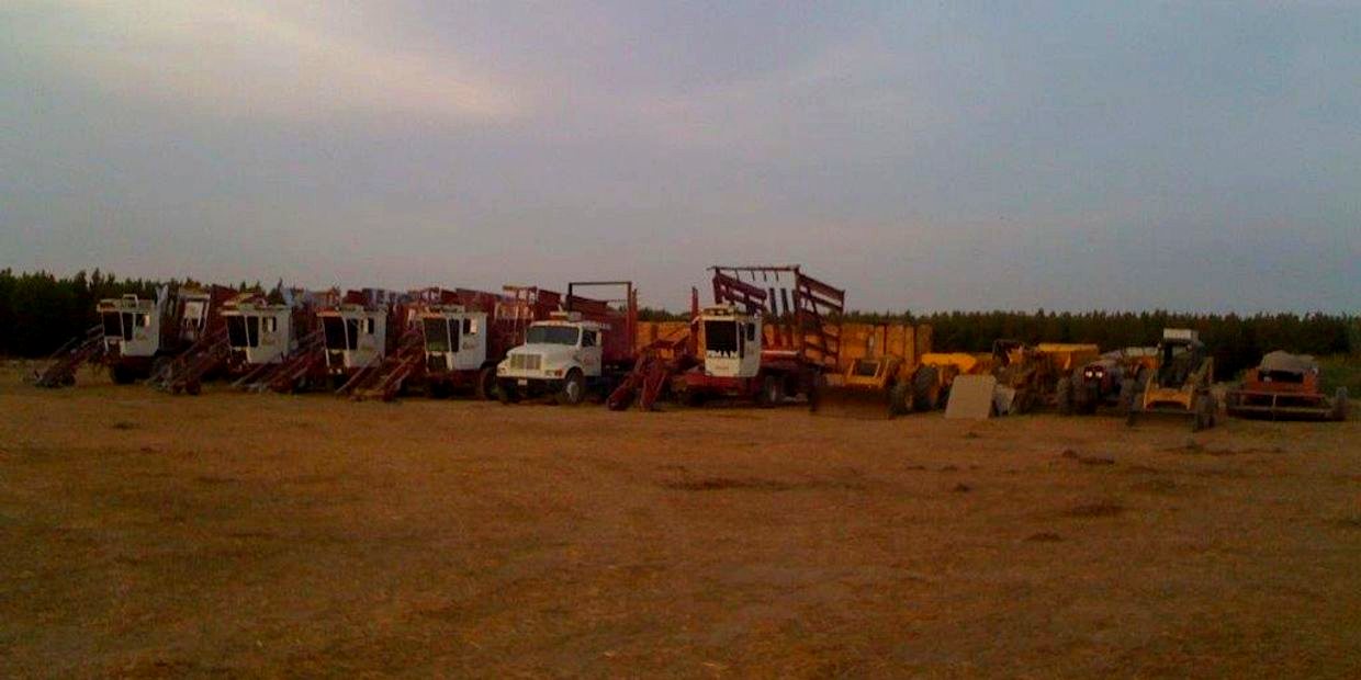 B. Mello balewagons stacking hay