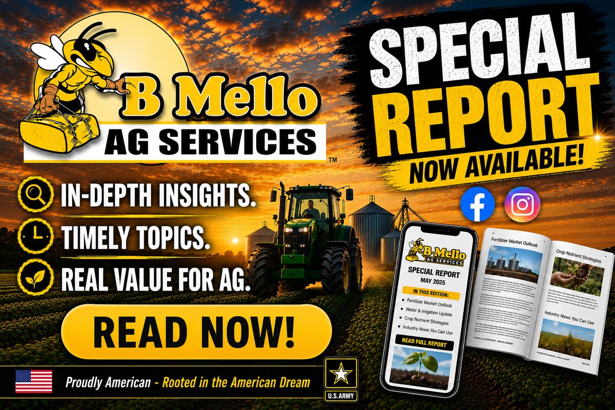 Special Report