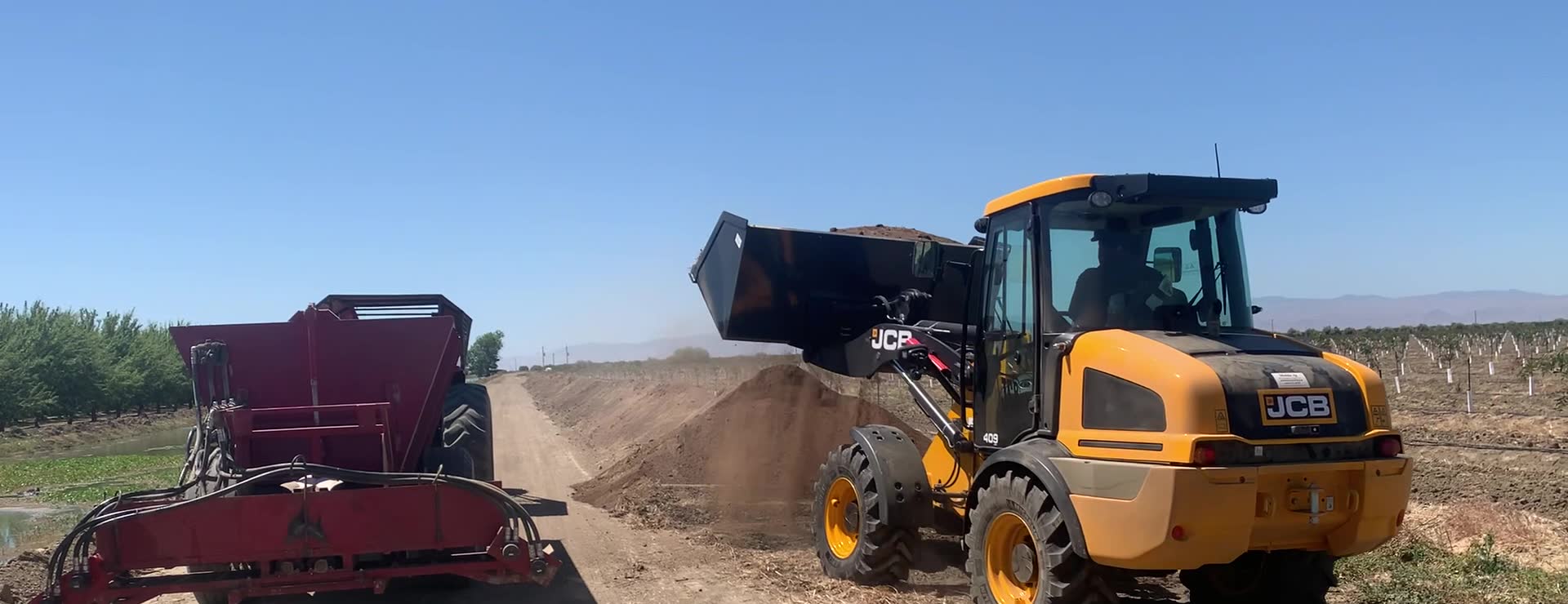 A wheel loader carrying a bucket of material to a B. Mello tractor spreader and dumping it in, beside a young orchard
